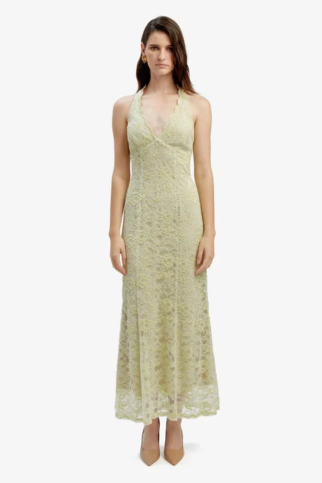 Bardot Occasion Dresses Evana Midi Lace Dress In Pale Khaki 8211 Women Bardot Occasion Dresses Evana Midi Lace Dress In Pale Khaki 8211 Women