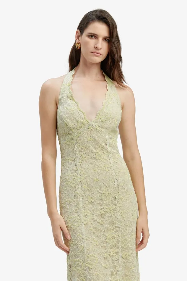 Bardot Occasion Dresses Evana Midi Lace Dress In Pale Khaki 8211 Women Bardot Occasion Dresses Evana Midi Lace Dress In Pale Khaki 8211 Women