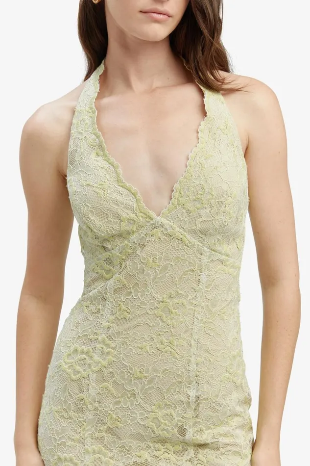 Bardot Occasion Dresses Evana Midi Lace Dress In Pale Khaki 8211 Women Bardot Occasion Dresses Evana Midi Lace Dress In Pale Khaki 8211 Women