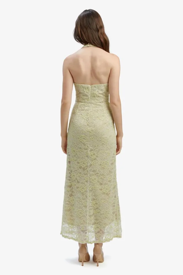 Bardot Occasion Dresses Evana Midi Lace Dress In Pale Khaki 8211 Women Bardot Occasion Dresses Evana Midi Lace Dress In Pale Khaki 8211 Women