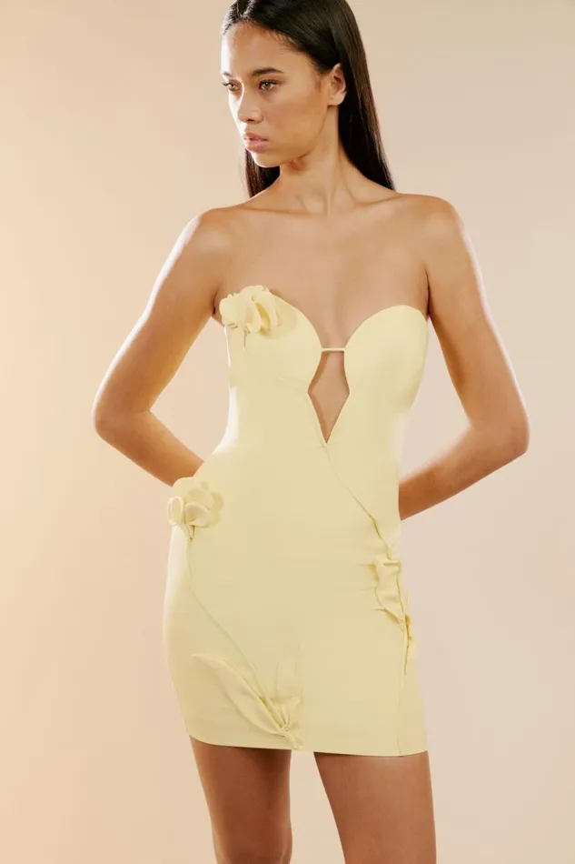Bardot Party Dresses Eleni Flower Detail Mini Dress In Canary Ylw 8211 Women