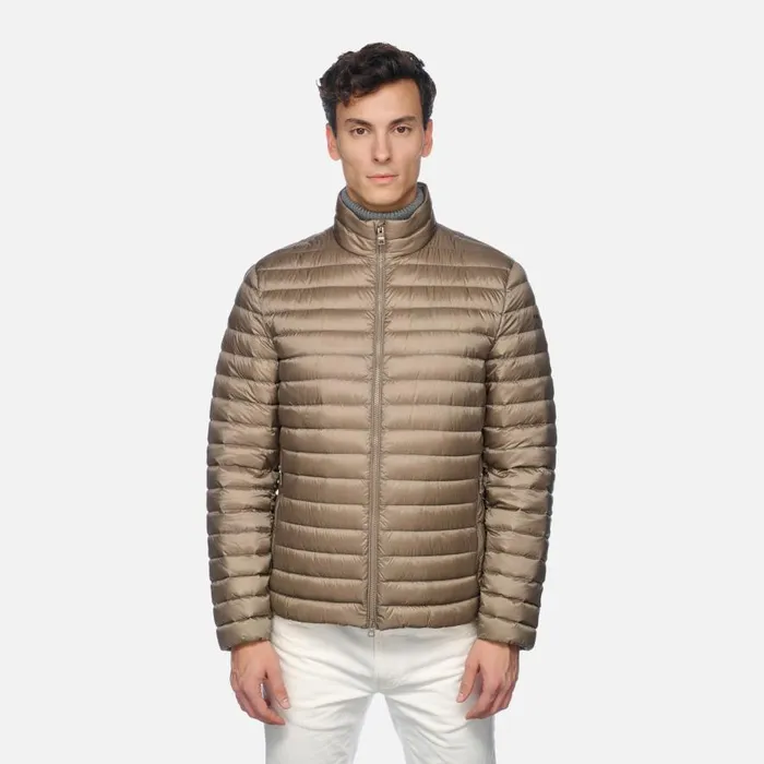Geox Down Jackets WARRENS MAN Fallen Rock Short Down Jacket Fallen Rock 8211 Man