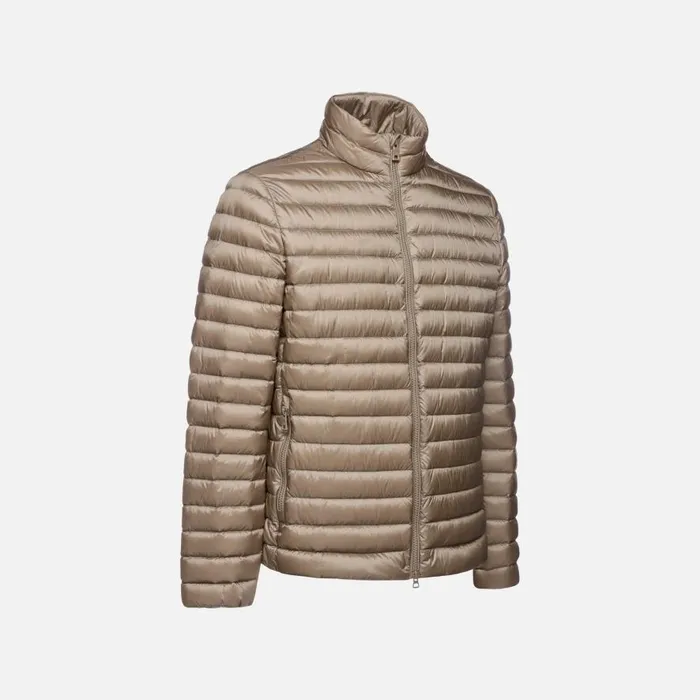 Geox Down Jackets WARRENS MAN Fallen Rock Short Down Jacket Fallen Rock 8211 Man