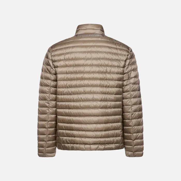 Geox Down Jackets WARRENS MAN Fallen Rock Short Down Jacket Fallen Rock 8211 Man