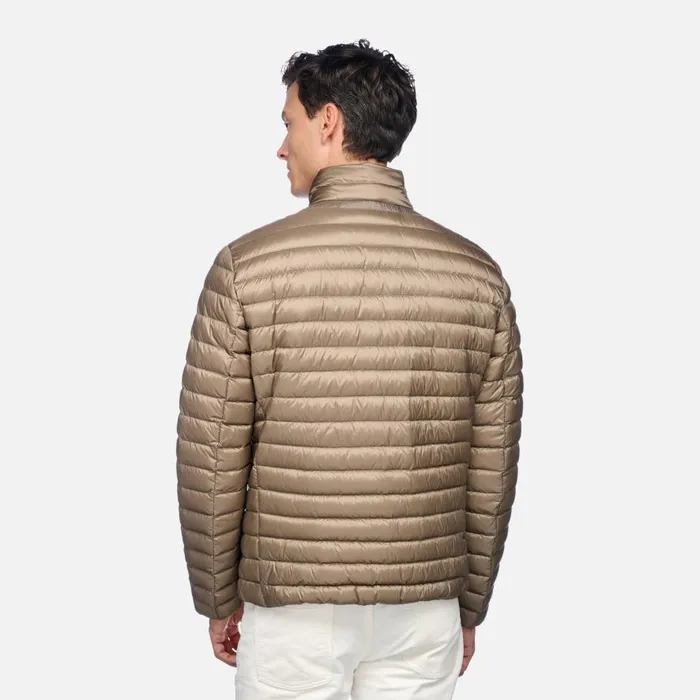 Geox Down Jackets WARRENS MAN Fallen Rock Short Down Jacket Fallen Rock 8211 Man