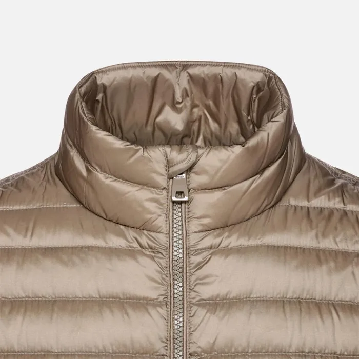 Geox Down Jackets WARRENS MAN Fallen Rock Short Down Jacket Fallen Rock 8211 Man