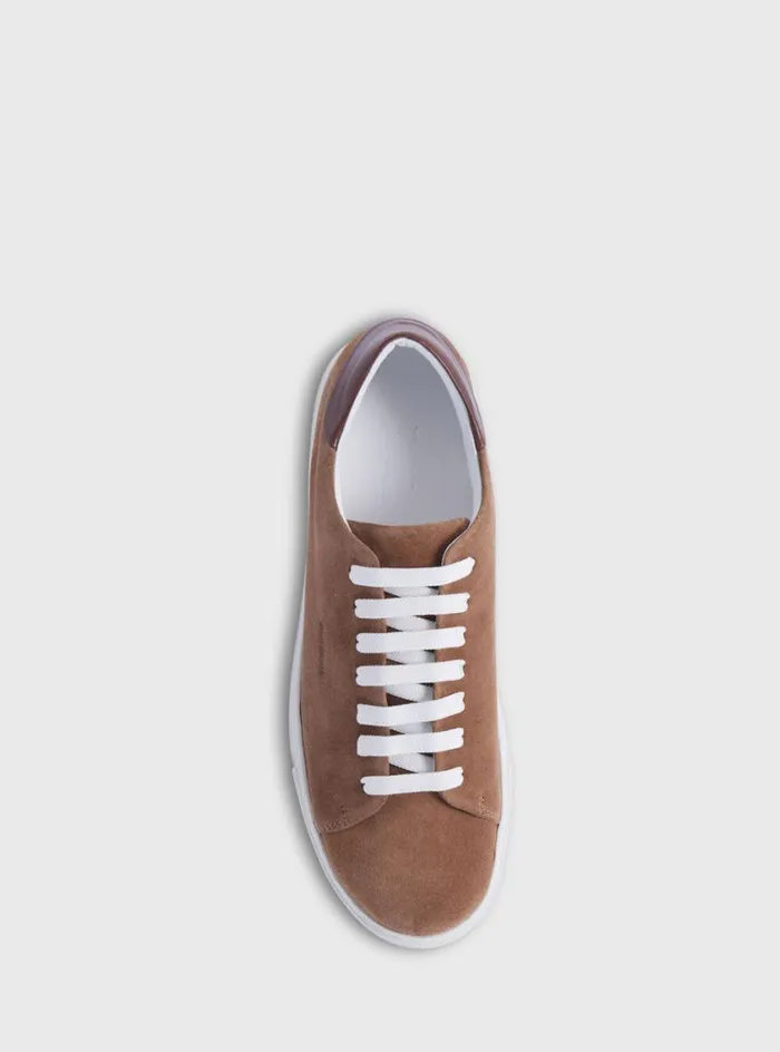 Men Paul Stuart Sneakers Homer Suede Sneaker Tan