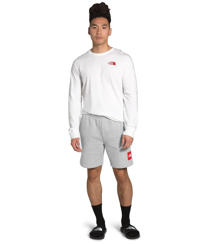 Mens Never Stop Short Tnf Light Grey Heather The North Face Shorts
