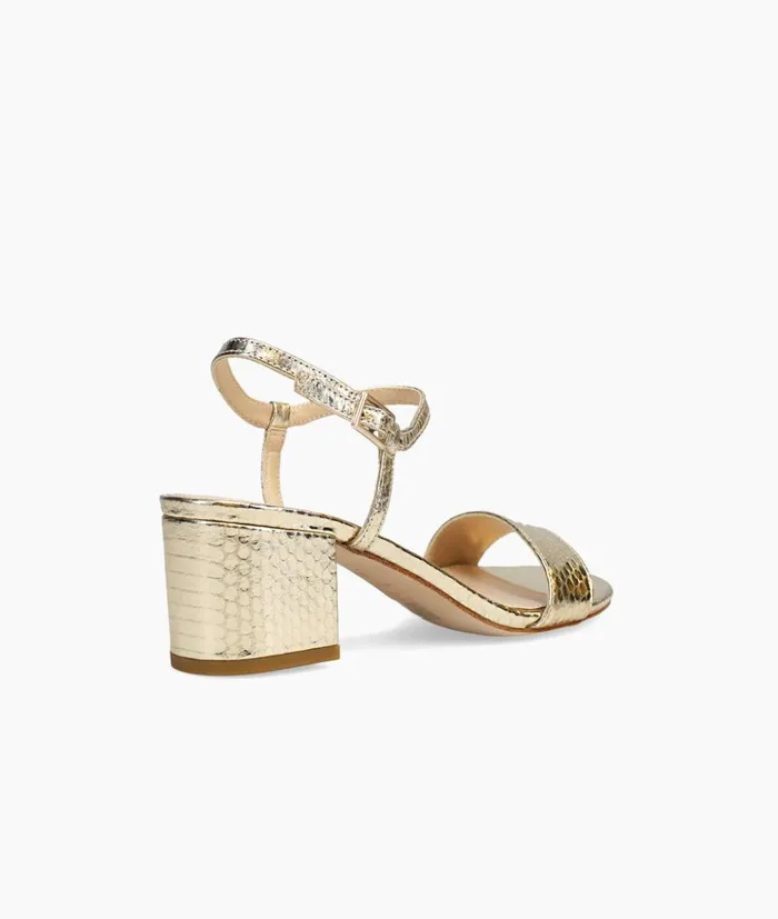 Pelle Moda Alicia Low Heel 8211 Gold Platinum Gold Embossed Snake Women Low Heels Pelle Moda Alicia Low Heel 8211 Gold Platinum Gold Embossed Snake Women Low Heels