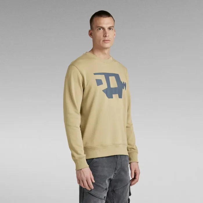 Sweatshirts and Hoodies Men GStar RAW Abstract RAW Sweater Tree House