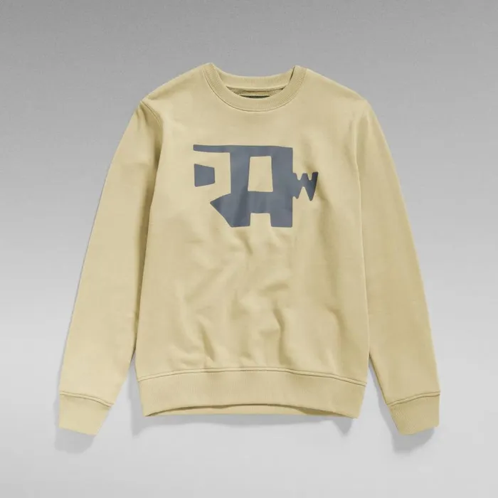 Sweatshirts and Hoodies Men GStar RAW Abstract RAW Sweater Tree House