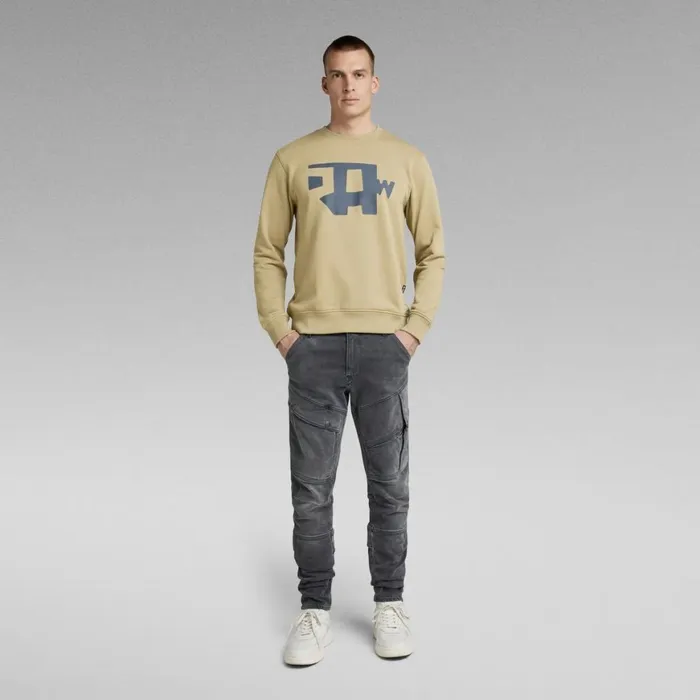 Sweatshirts and Hoodies Men GStar RAW Abstract RAW Sweater Tree House