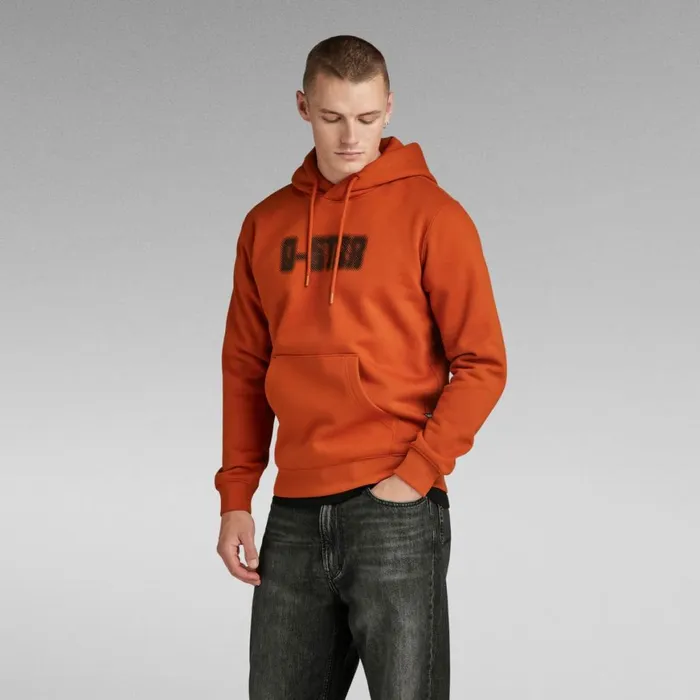 Sweatshirts and Hoodies Men GStar RAW Dotted Hooded Sweater Rooibos Tea