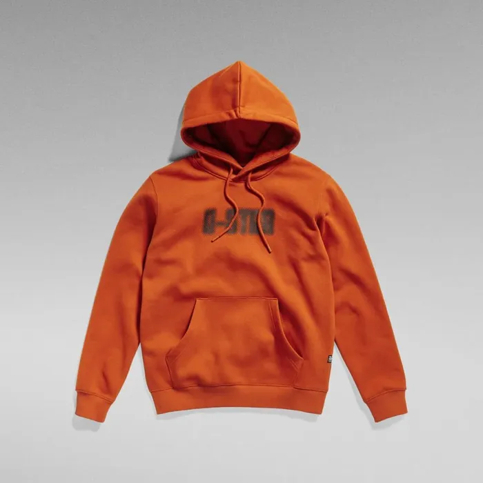 Sweatshirts and Hoodies Men GStar RAW Dotted Hooded Sweater Rooibos Tea