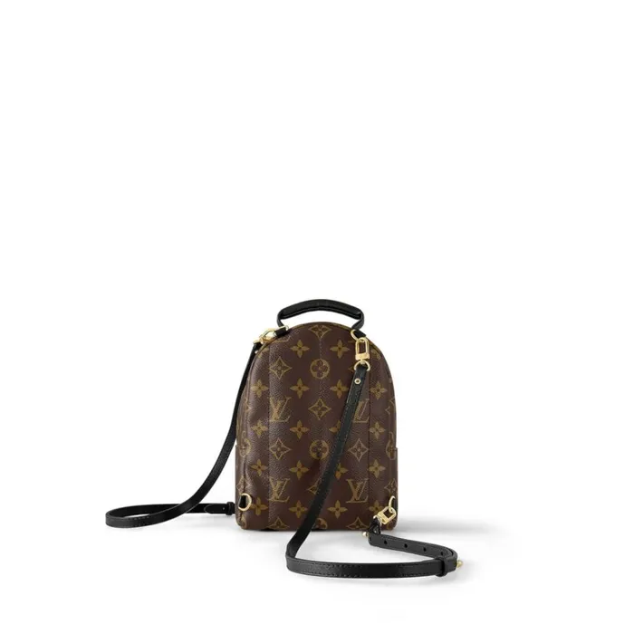 Women Backpacks Louis Vuitton Louis Vuitton Monogram M44873 Palm Springs Mini 8211 Louis Vuitton Handbag Store Women Backpacks Louis Vuitton Louis Vuitton Monogram M44873 Palm Springs Mini 8211 Louis Vuitton Handbag Store