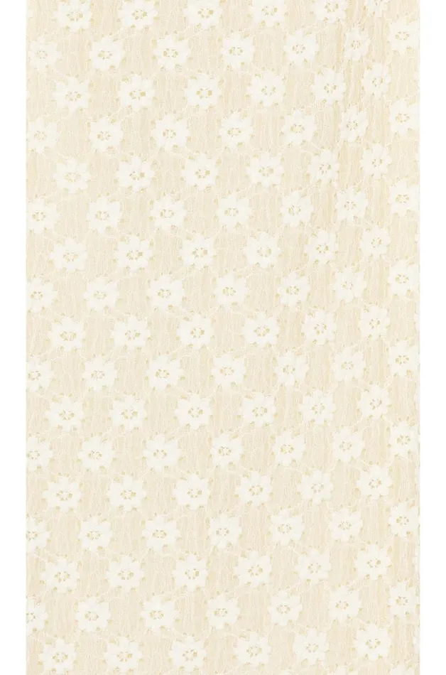 Xenia Bodysuit Ivory Women Lovers and Friends Tops